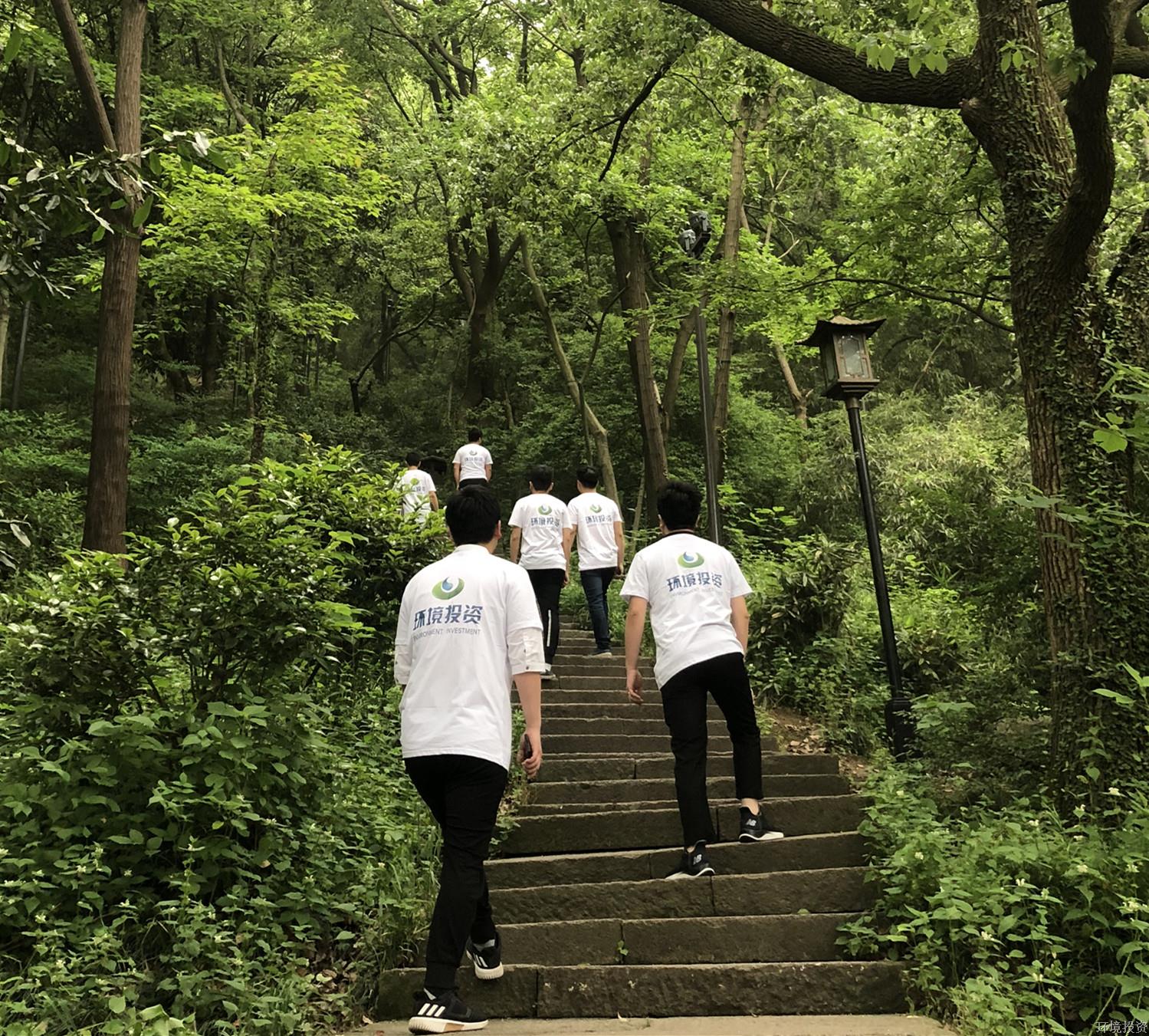 佰富彩-安全购彩大厅官网